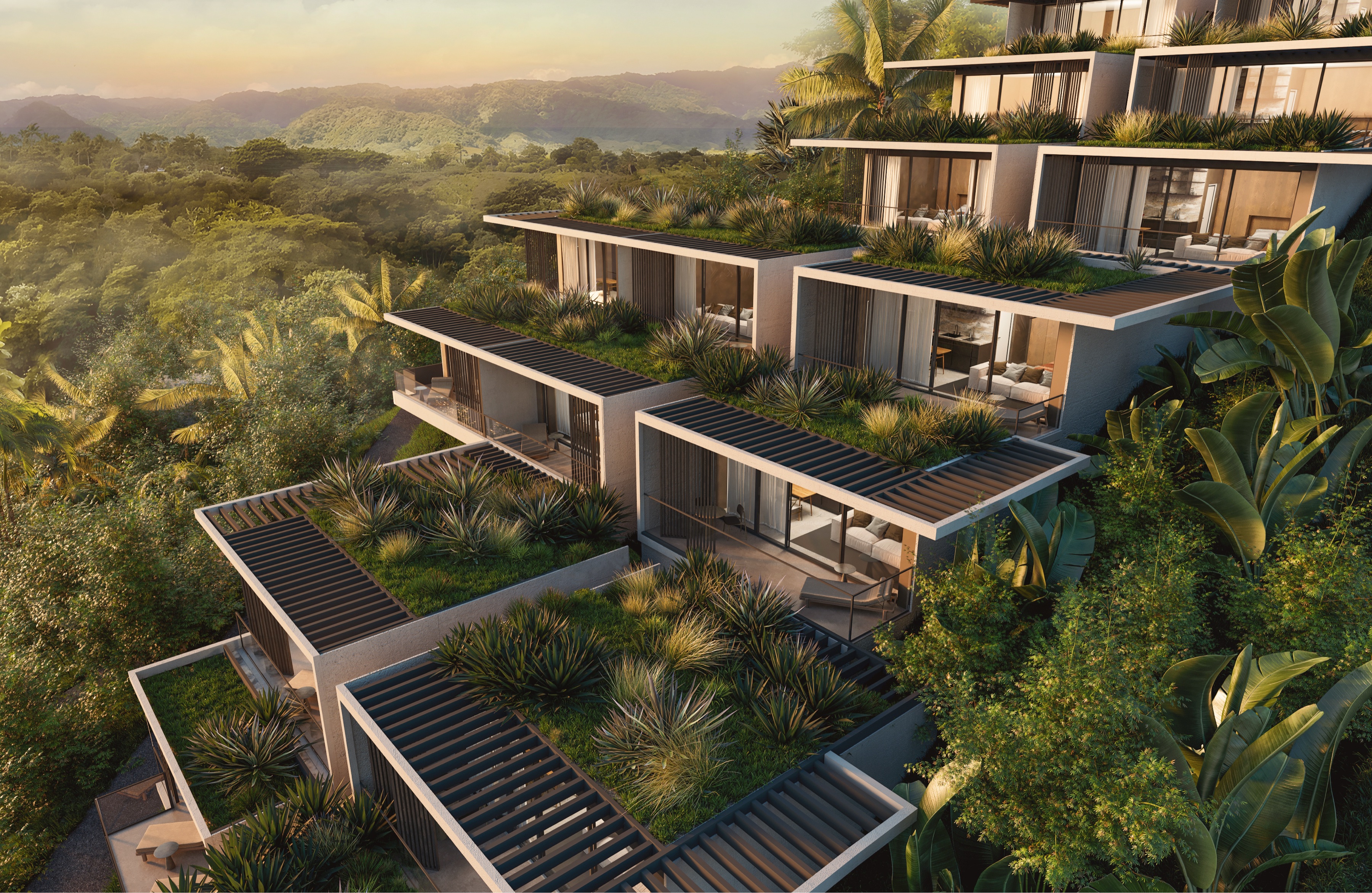 Suite residence exterior — terraced hillside suites with green roofs over a tropical valley view